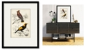 Courtside Market D'Orbigny Birds V 20" x 24" Framed and Matted Art